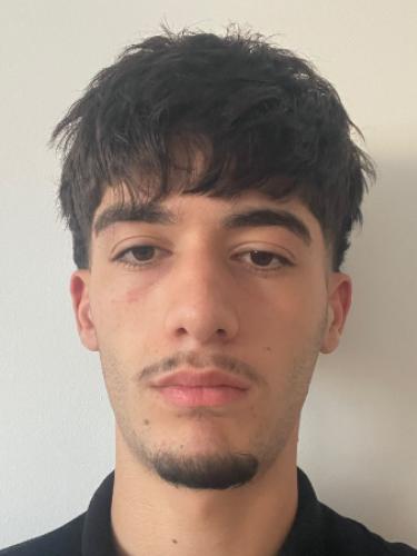 Delshad Jemo