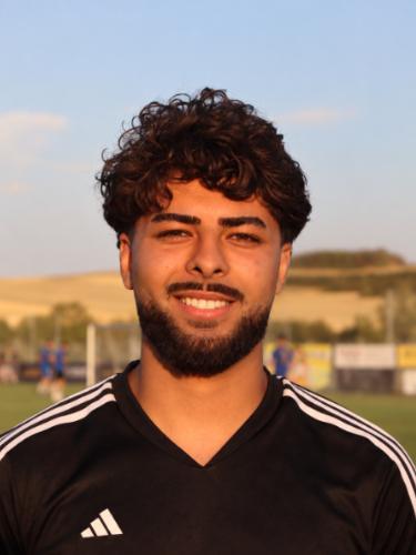 Mohamad Tareq Helwani