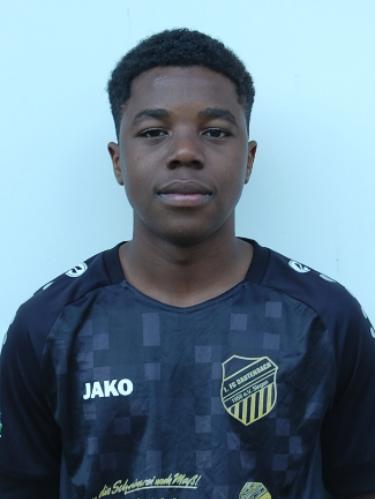 Ayrton Domingos