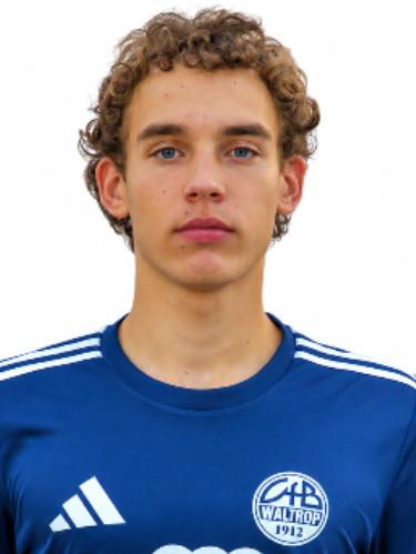 Louis Miquel Mertins