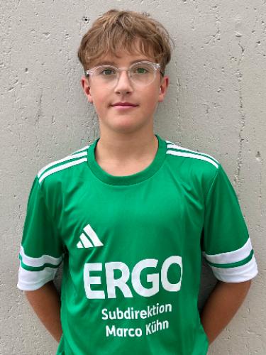 Louis Endres