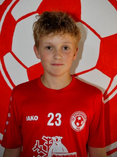 Johan Wendte