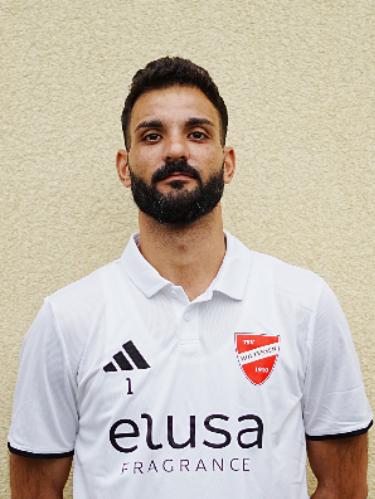 Pourya Mojaddad Hosseinjani