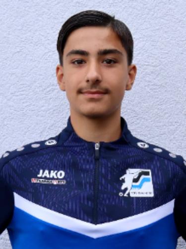 Berat Albayrak