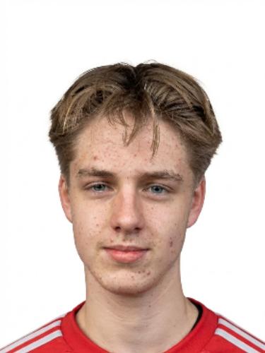 Max Henry Agne