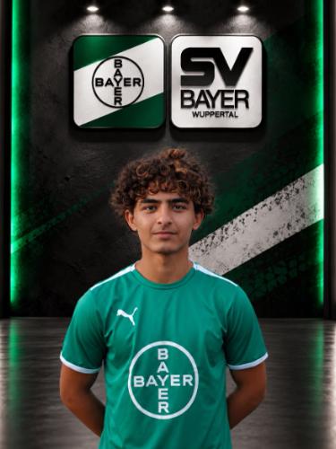 Mohamad Almohaisen