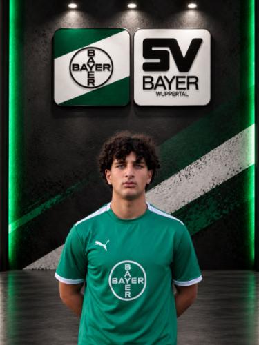 Efe Volkan Celik