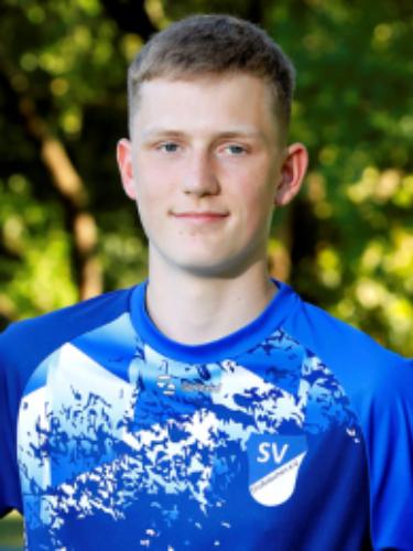 Theo Hanke