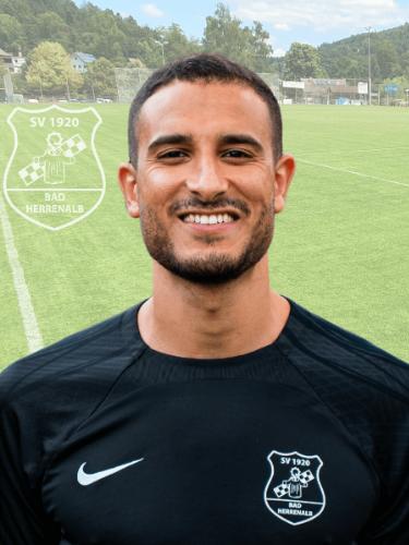 Magdi Mansour