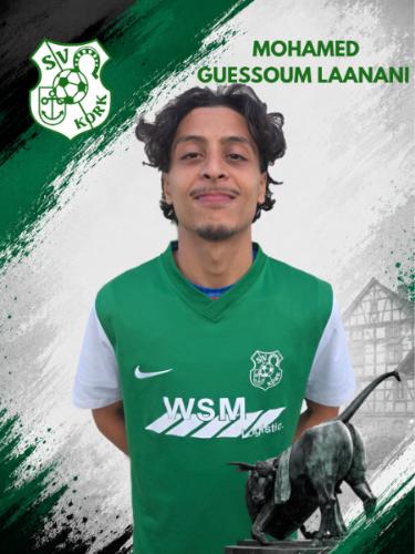 Mohamed Guessoum Laanani