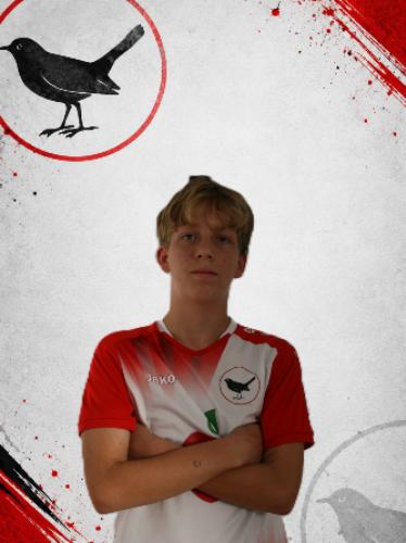 Fabian Hartmann