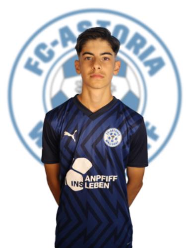 Kuzey Emre Bicakci