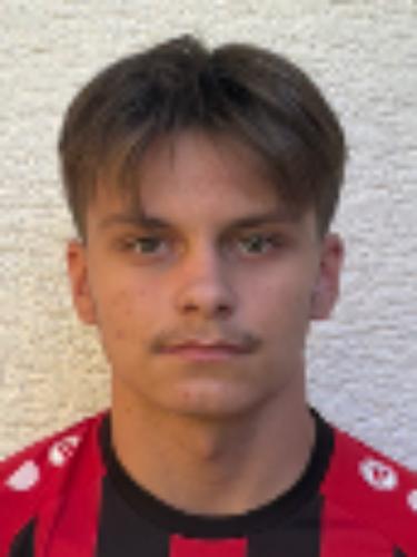 David Dragomir