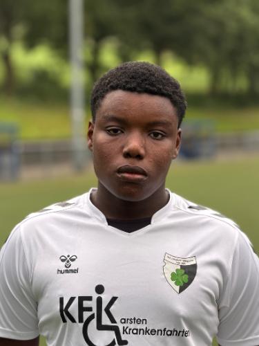 Chinedu Kingsley Nwankwor