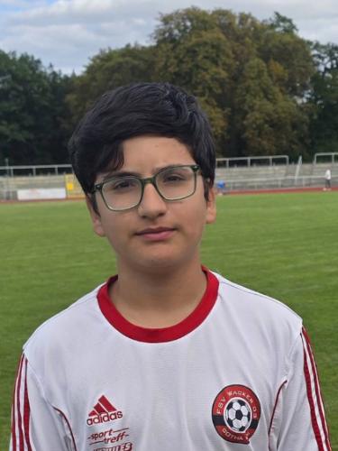Mohammad Hamza Rahmand