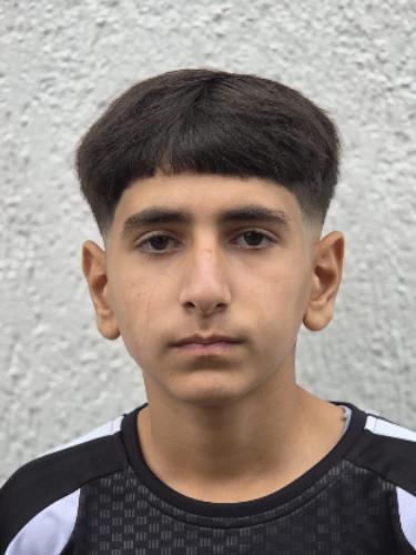 Mohamad Aldeks