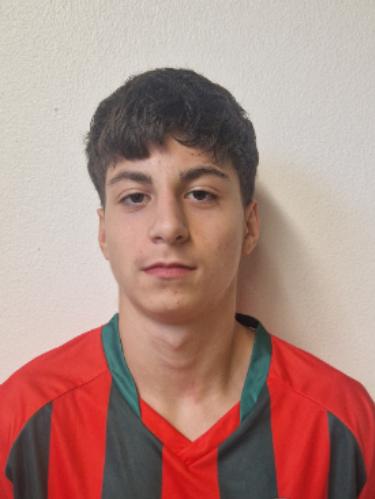 Taylan Fenu