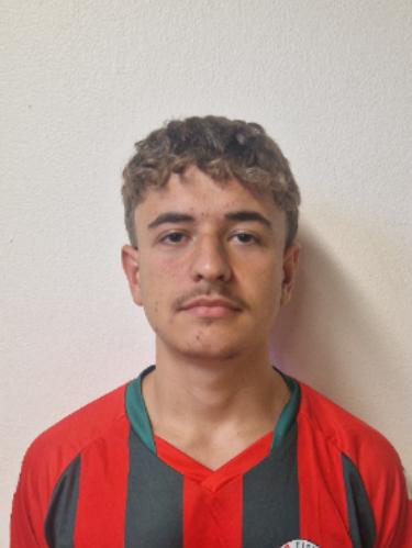 Albi Mollaj