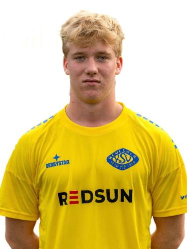 Tim van Well