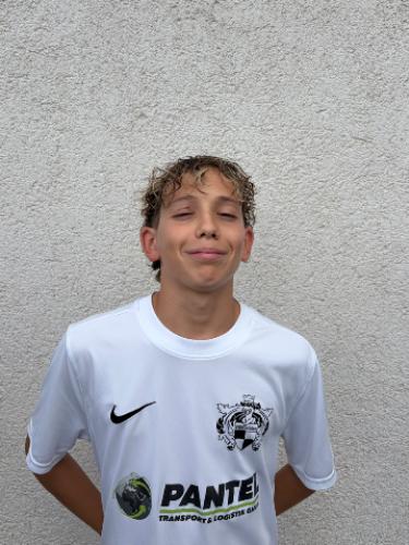 Domenic Palazzolo