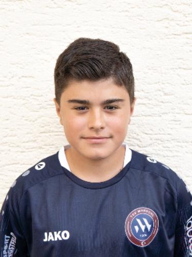 Emir Erol