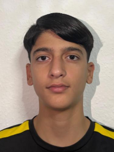 Ali Aljazayrli