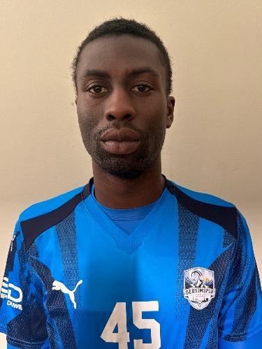 Martin Kwasi Gyameshie