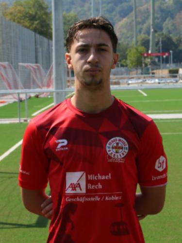 Sanel Alic