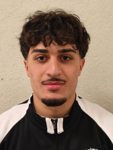 Dilbireen Ismail