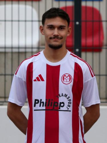 Theodoros Alexander Sinapidis
