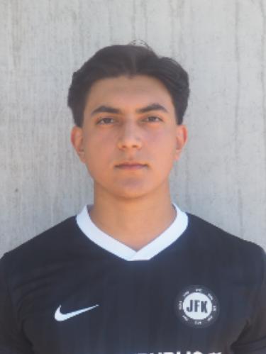 Erfan Darmani