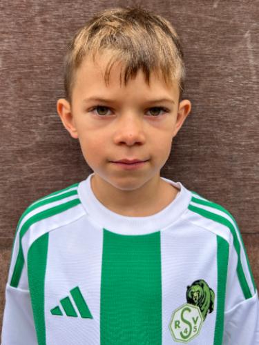Theo Hermais
