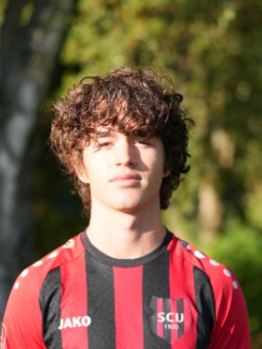 Niko Vladisavljev