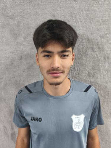 Ramin Azimi