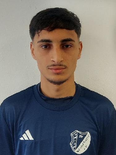 Samuel Moise