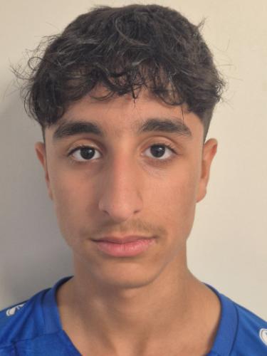 Ahmad Alaa Diaa