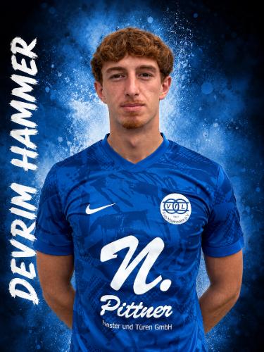 Devrim Lars Hammer