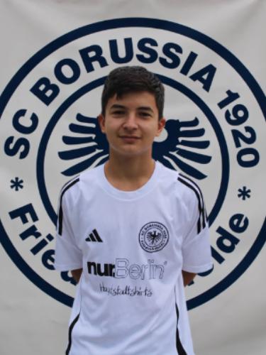 Mustafa Efe Sertdemir