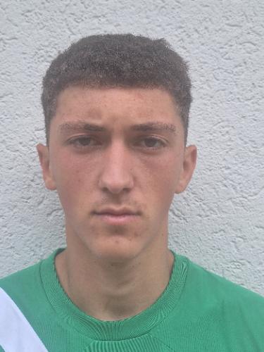 Samid Celebic