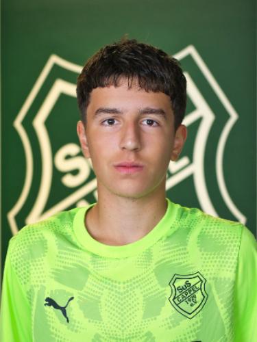 Nikola Acimovic