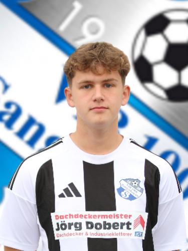 Nick Werner Hermann