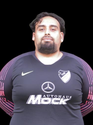 Taha Dagdeviren