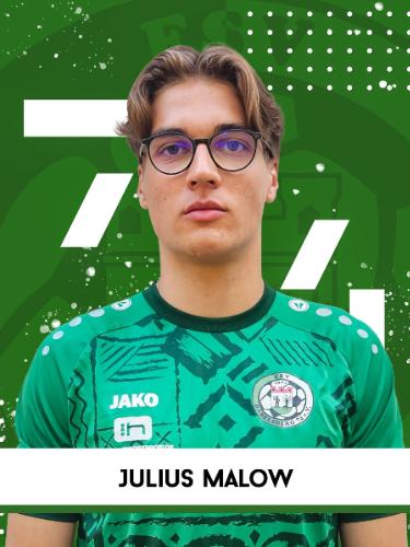 Julius Valentin Malow