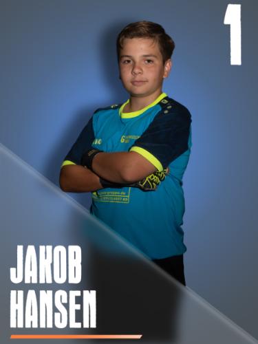 Jakob Hansen