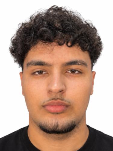 Mert Aydin