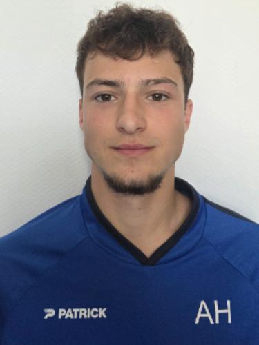 Hannes Auerswald