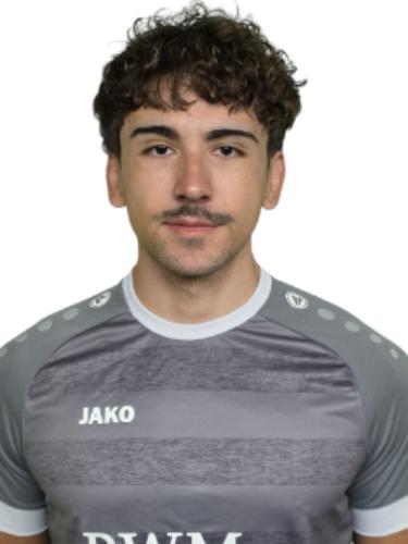 Mirza Jamakovic