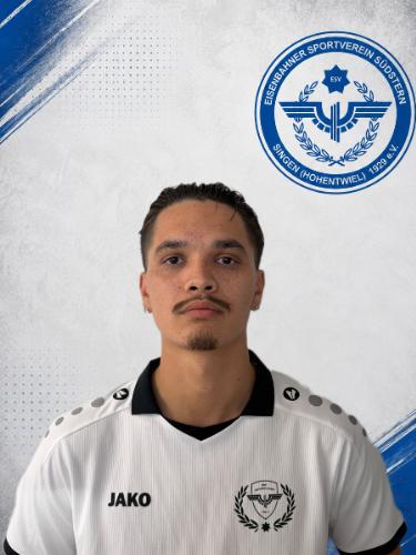 Dominik Seiberth