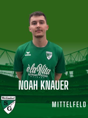 Noah Knauer