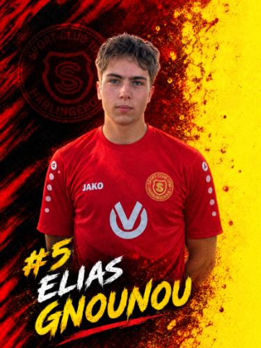 Elias Hamid Gnounou